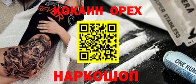гашик Дубна