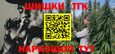 гашик Дубна