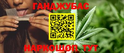 гашик Дубна