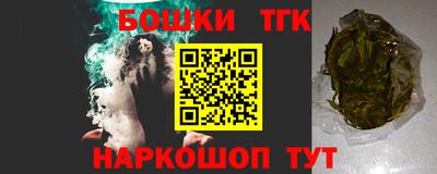 гашик Дубна