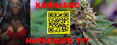 гашик Дубна