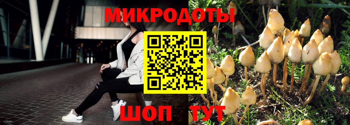 Псилоцибиновые грибы Magic Shrooms  Вход с VPN  Магнитогорск  Псилоцибиновые грибы ЛСД 
