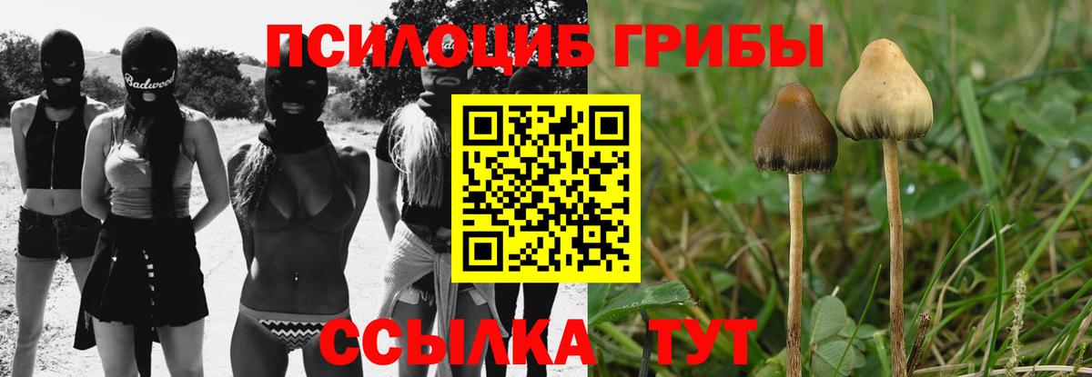 Галлюциногенные грибы ЛСД Магнитогорск